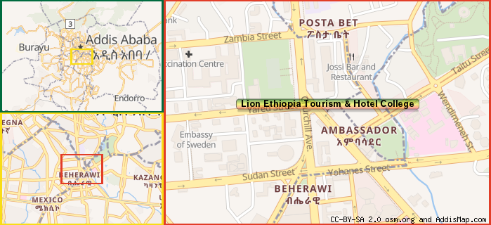 lion ethiopia tourism hotel and business institute